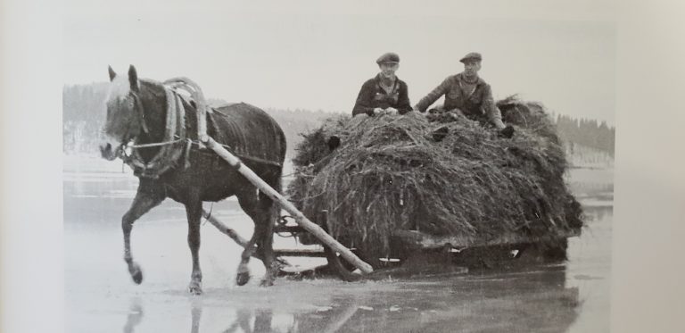 Ihmisten Luhanka -kirja