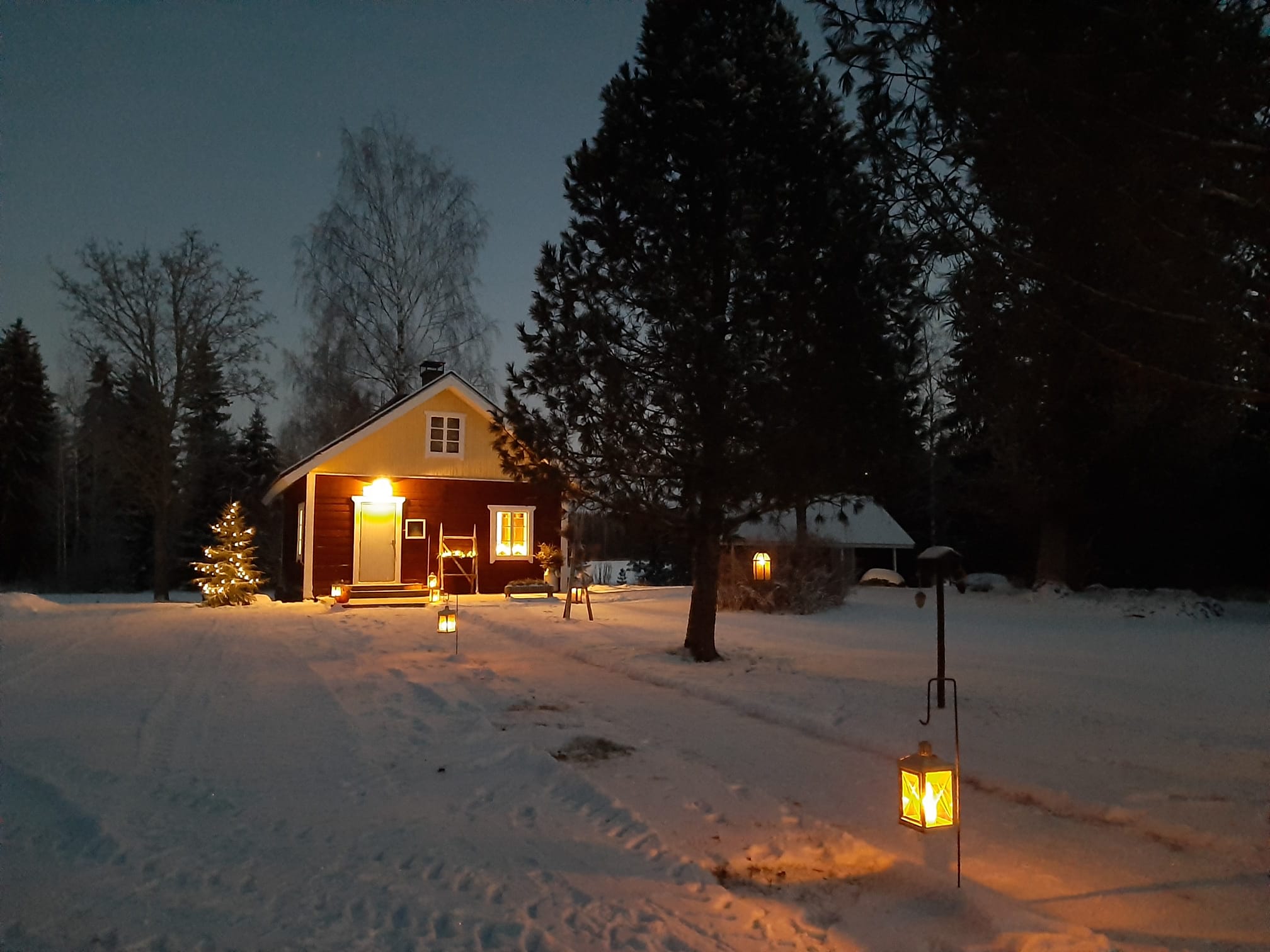 Polun päässä hämärässä näkyy valaistu pieni mökki, jonka edessä joulukuusessa palaa myös valot.