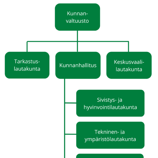 Organisaatio Luhanka